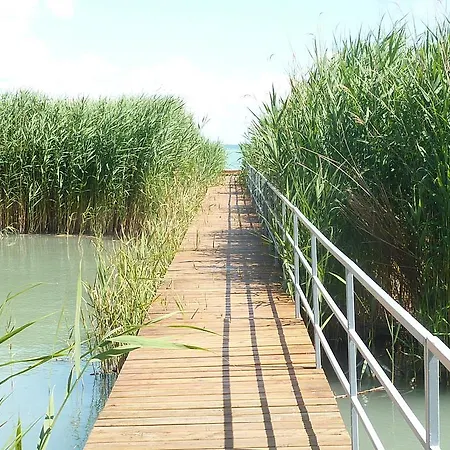 Partiszel A Fuke Yachtnal Balatonalmádi
